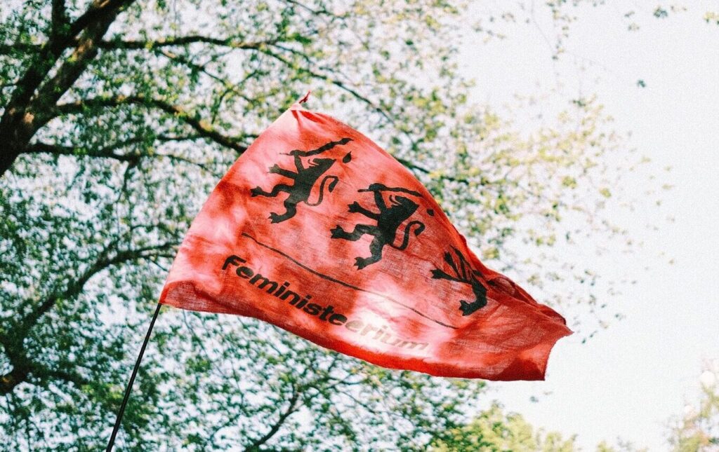 fmi lipp rohelise taustal 1 e1761215801455